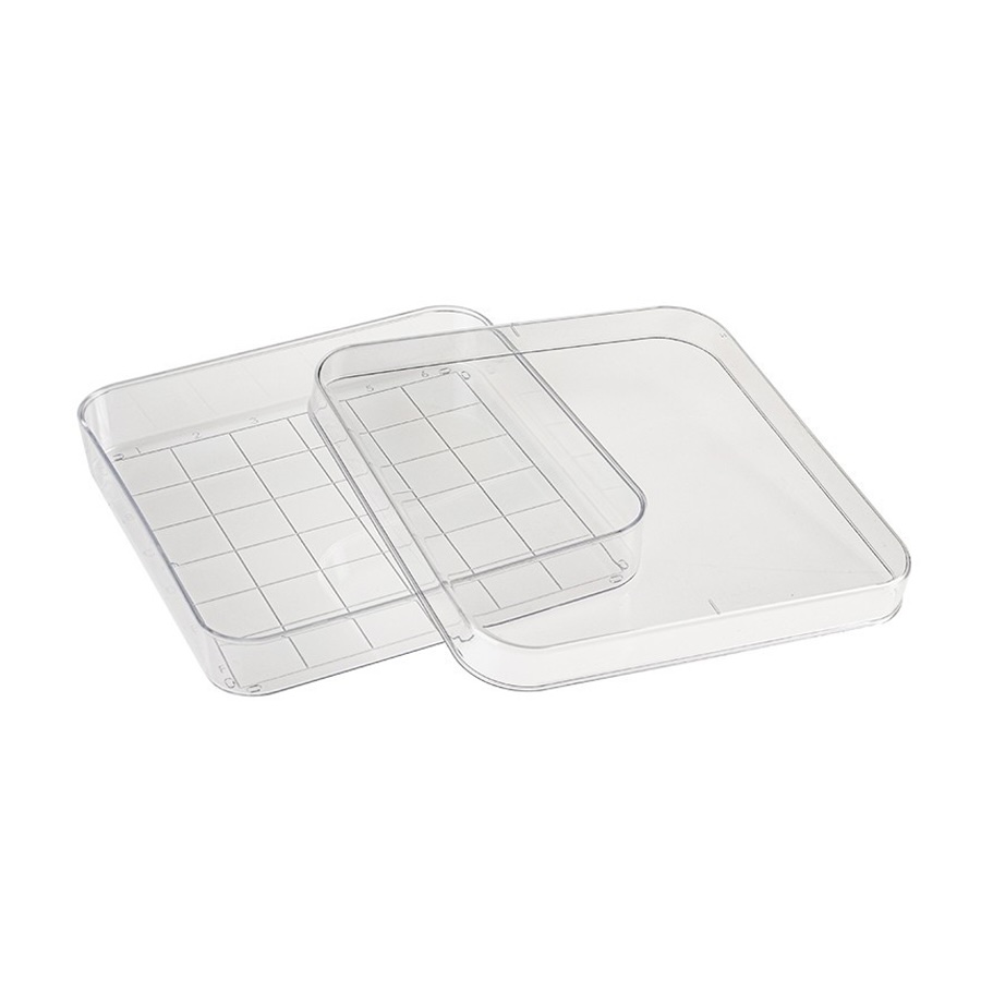 Square Grid Dishes