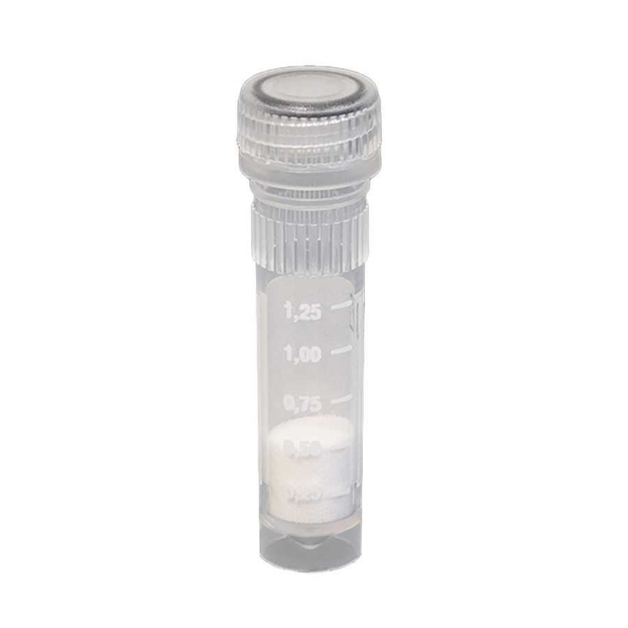 Bead Lysis Kit