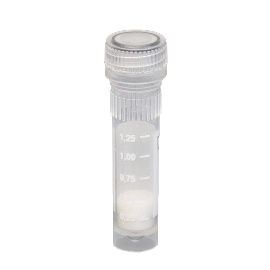 Bead Lysis Kit
