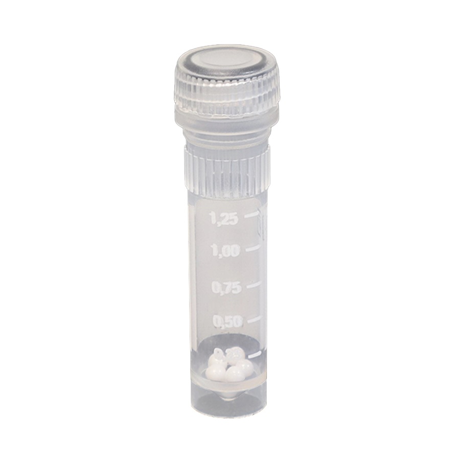 Bead Lysis Kit