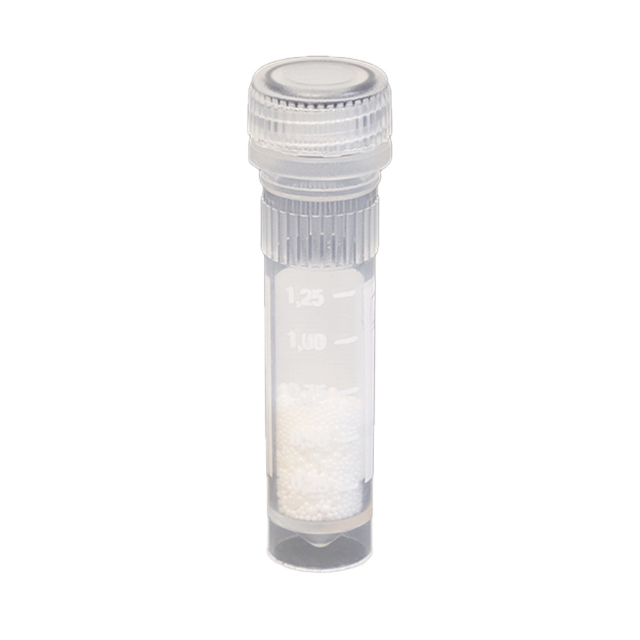 Bead Lysis Kit