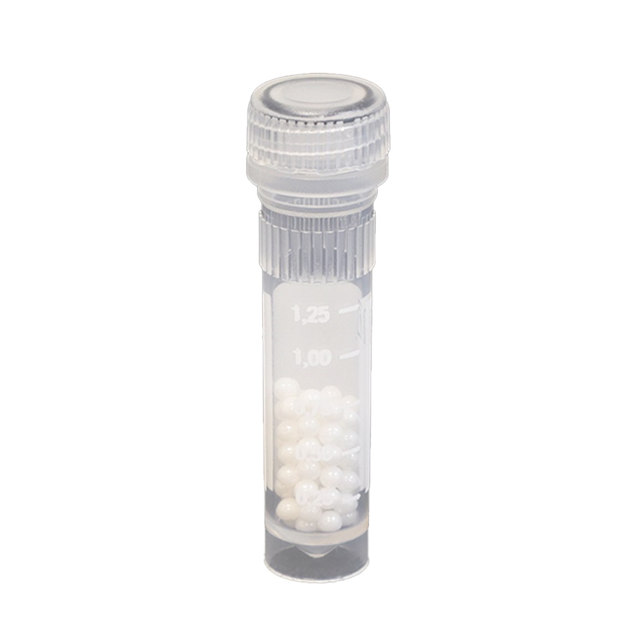 Bead Lysis Kit