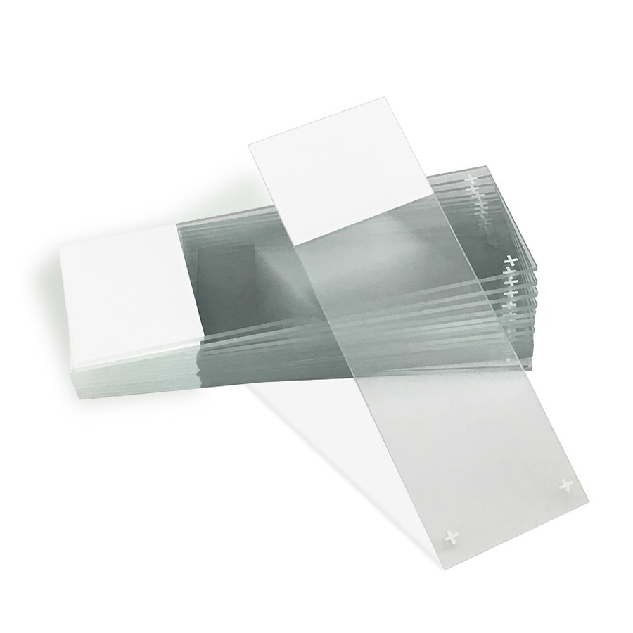 Microscope Slides