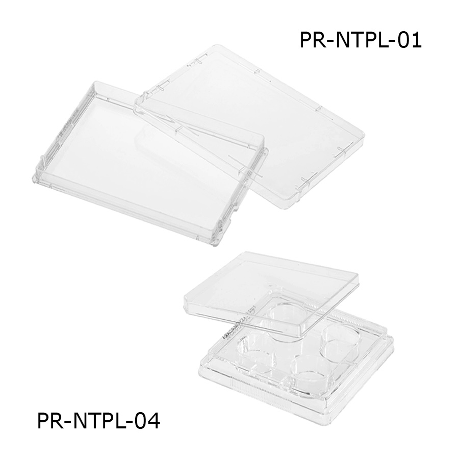 Untreated Multiwell Plate