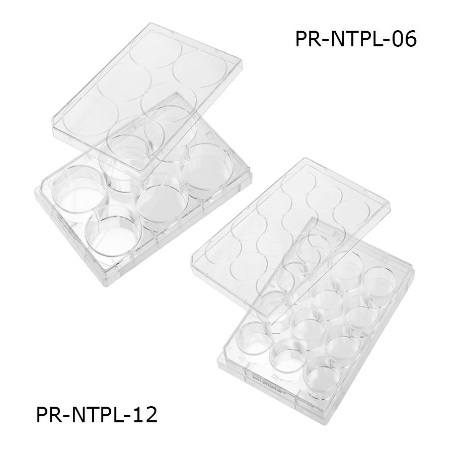 Untreated Multiwell Plate