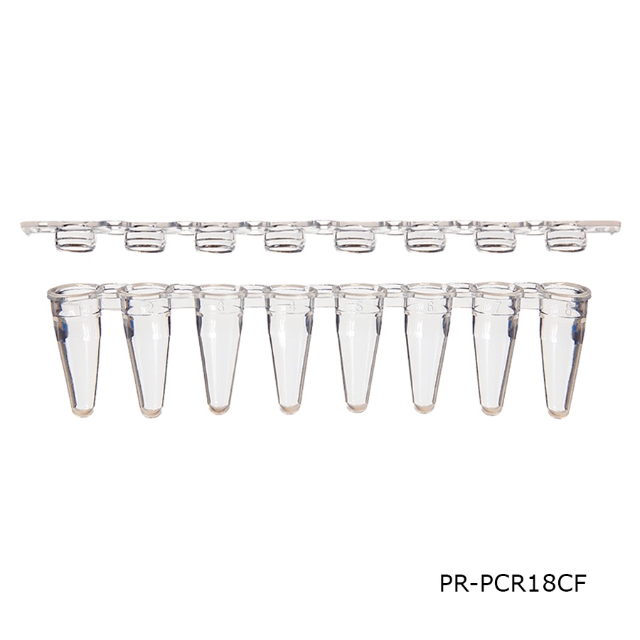 PCR Tube & Caps