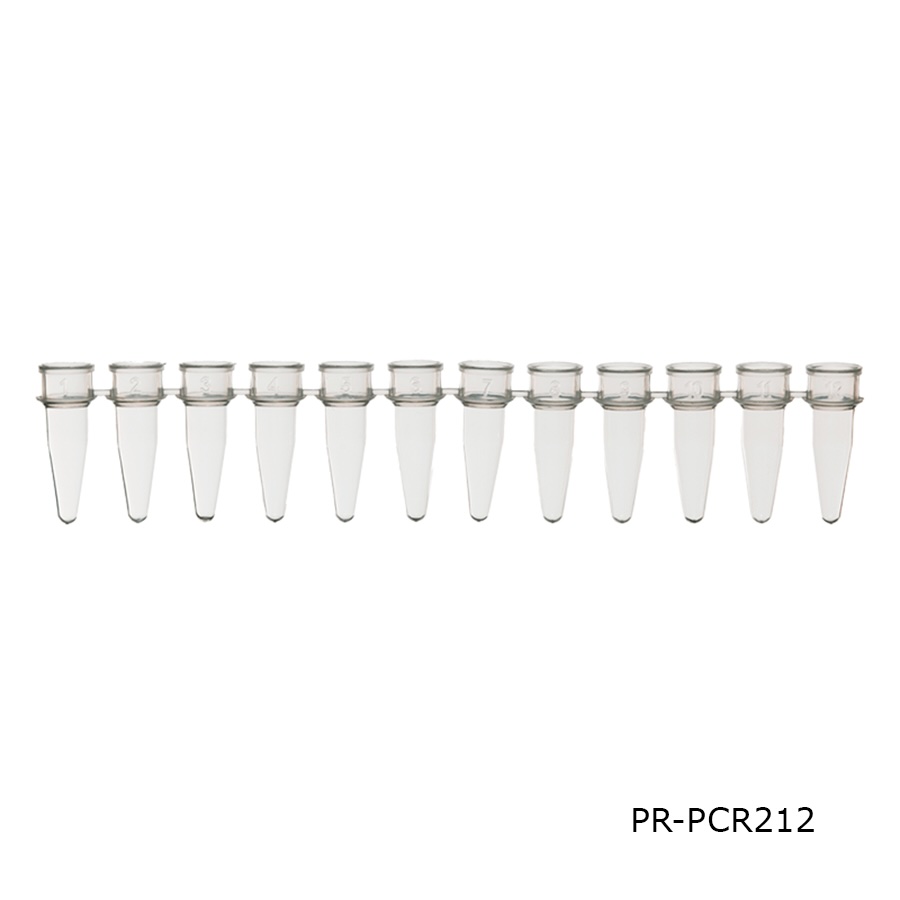 PCR Tube Cap