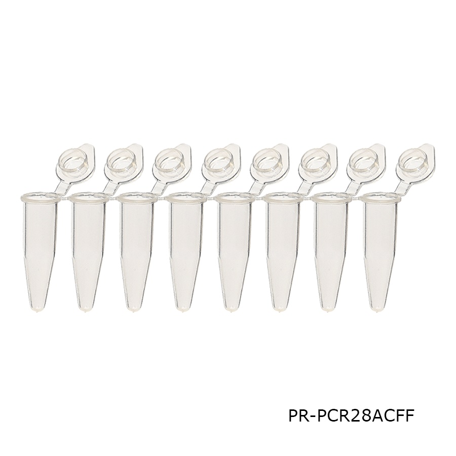 PCR Tube
