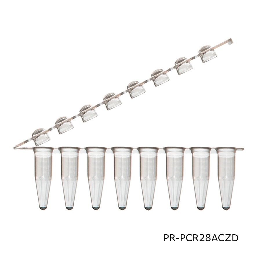 PCR Tube