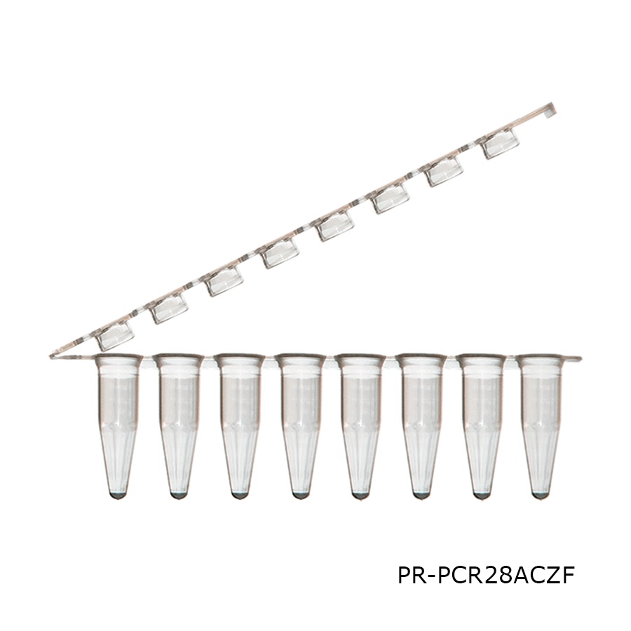 PCR Tube
