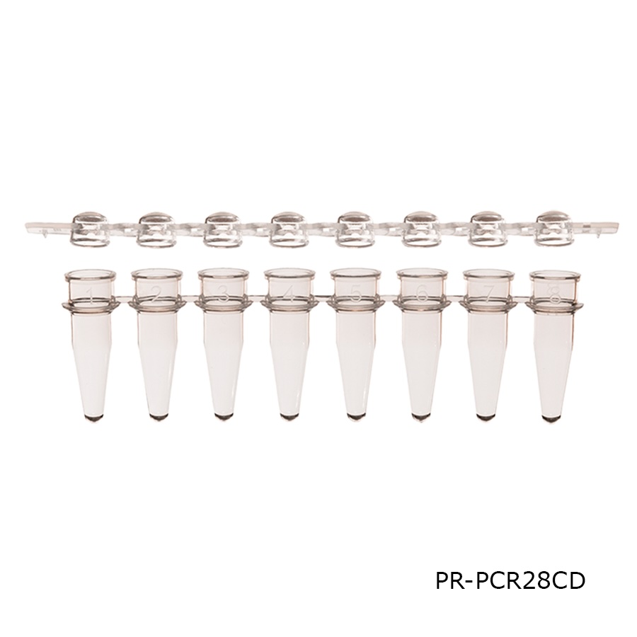PCR Tube & Caps