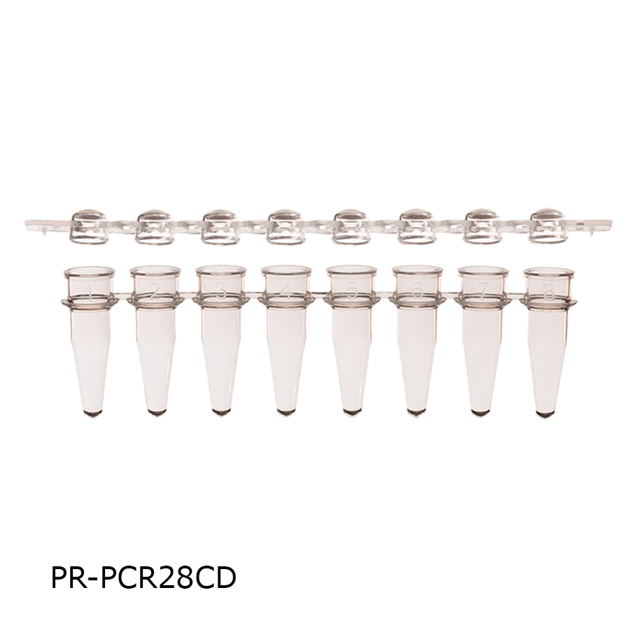 PCR Tube & Caps