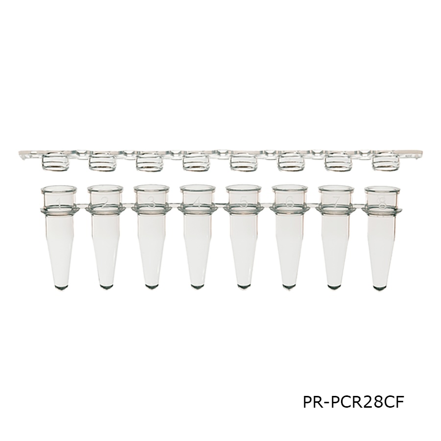 PCR Tube & Caps