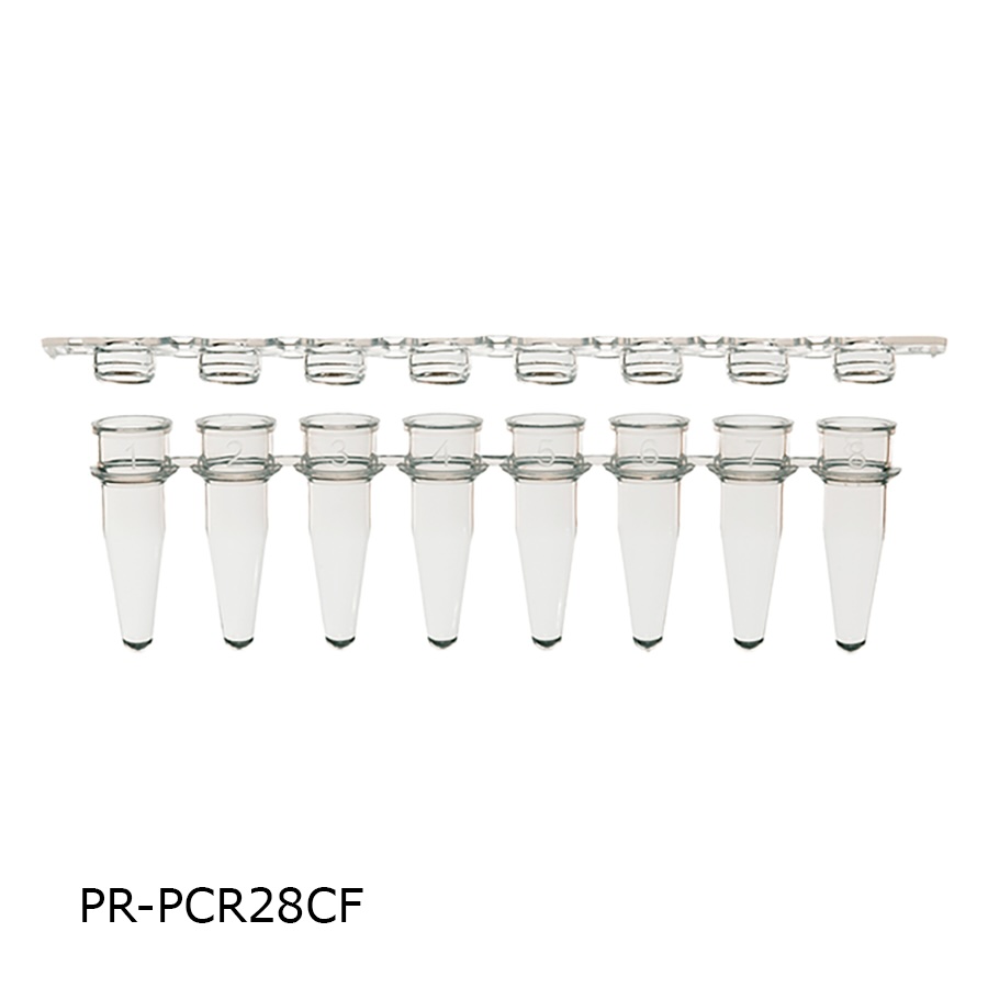 PCR Tube & Caps