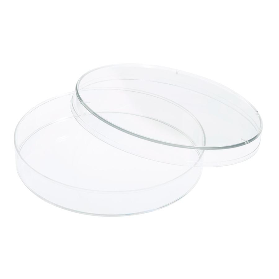 PR1MA Petri Dish
