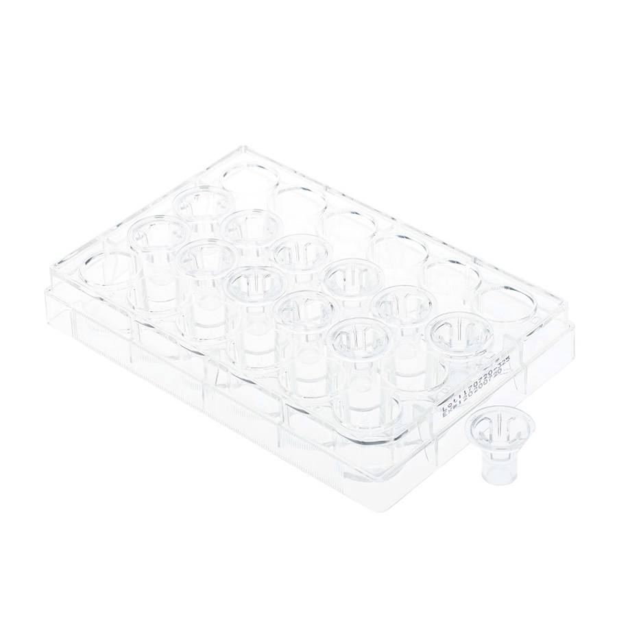 PR1MA Plates - Permeable