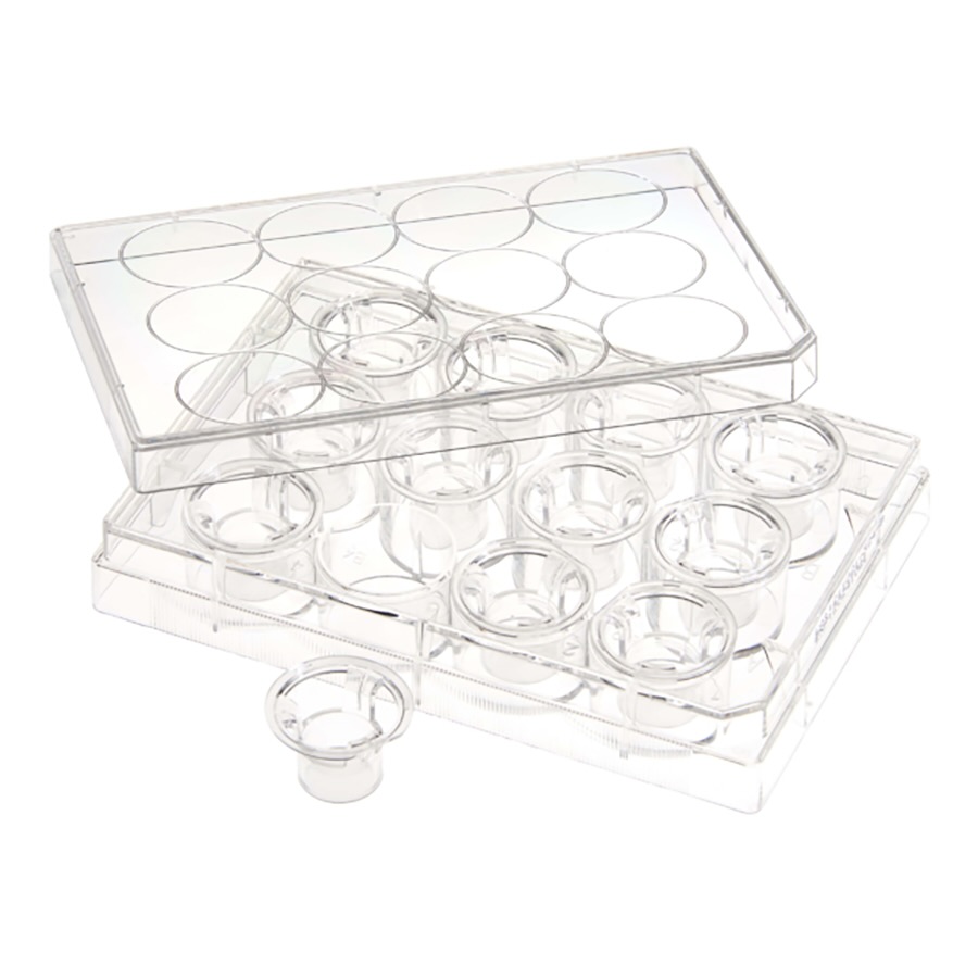 PR1MA Plates - Permeable