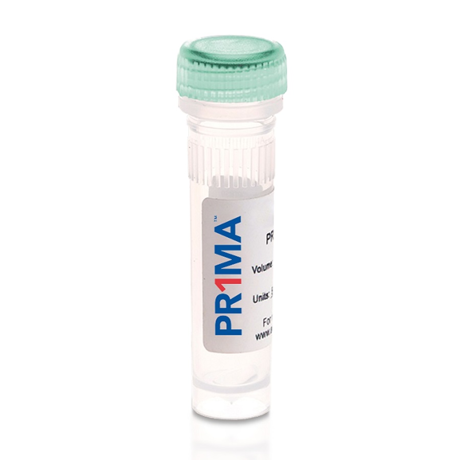 PR1MA Taq Plus