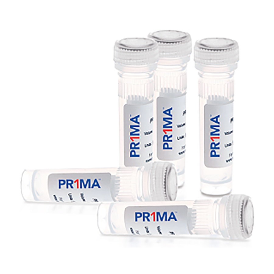 PR1MA Taq