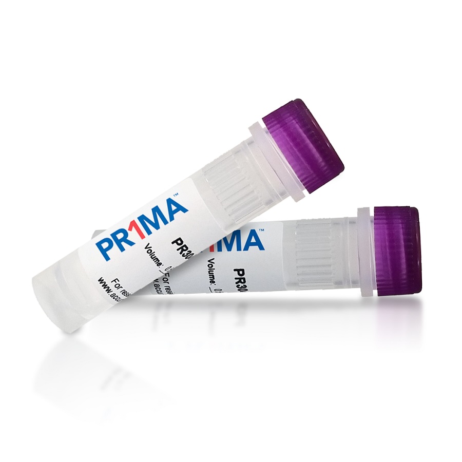 PR1MA dNTP