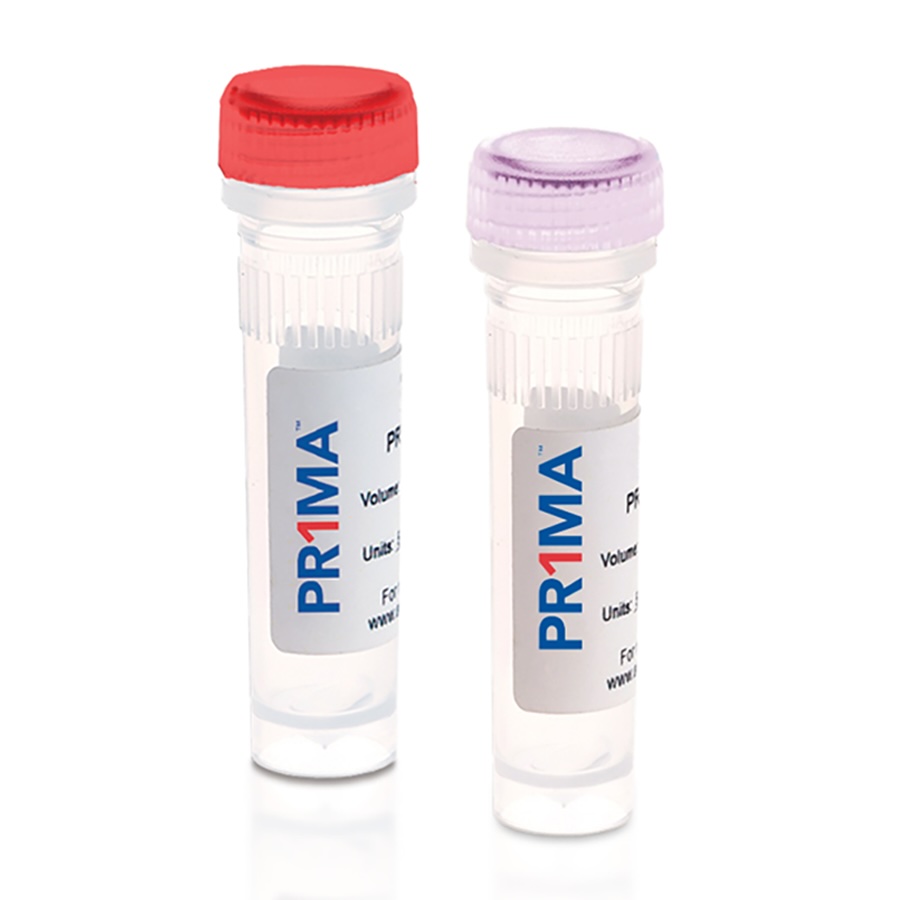 qMAX cDNA Synthesis Kits