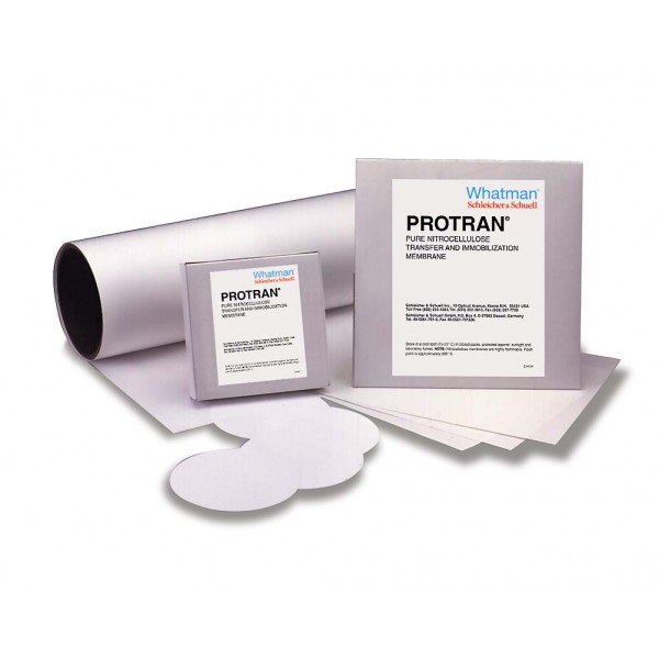 Protran BA85 Membrane