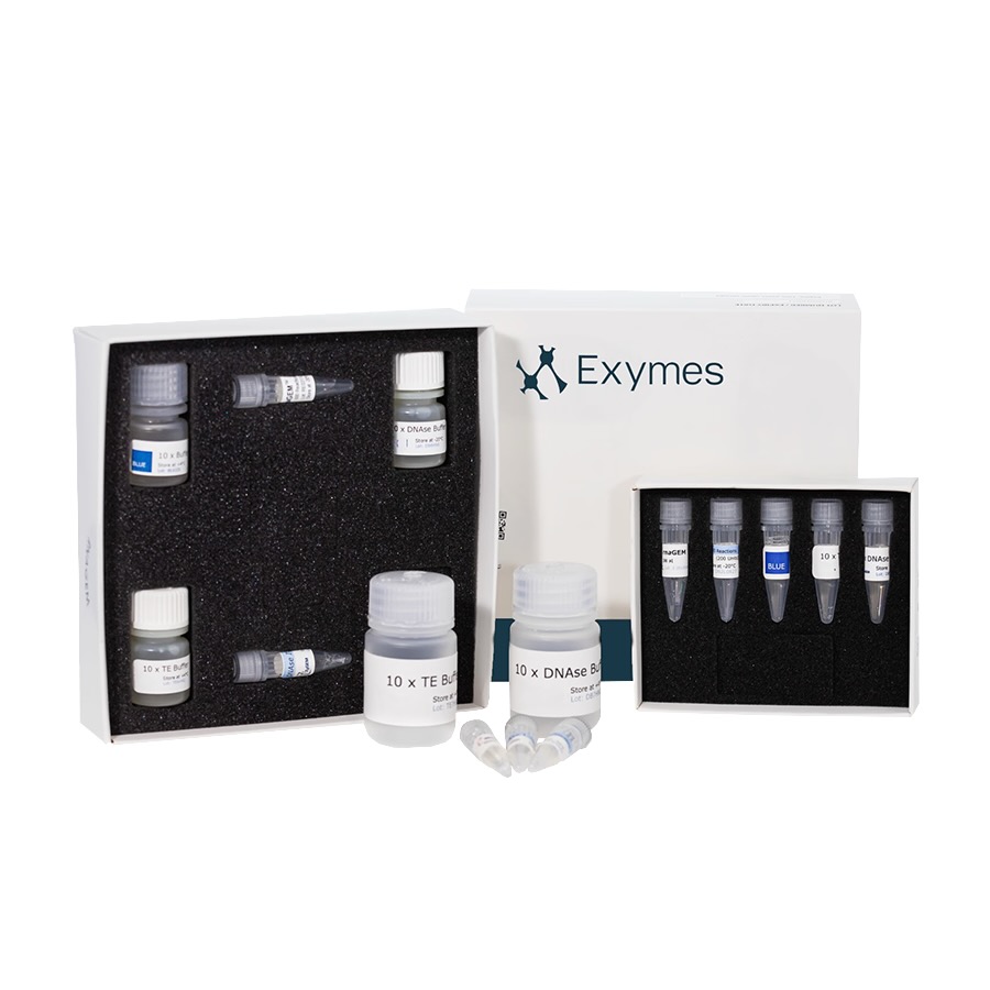 RNAGEM Extraction