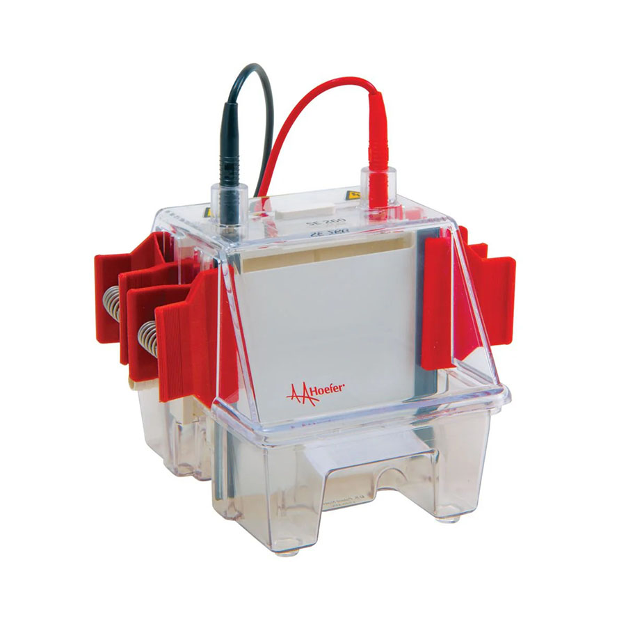 Mighty Small II Deluxe