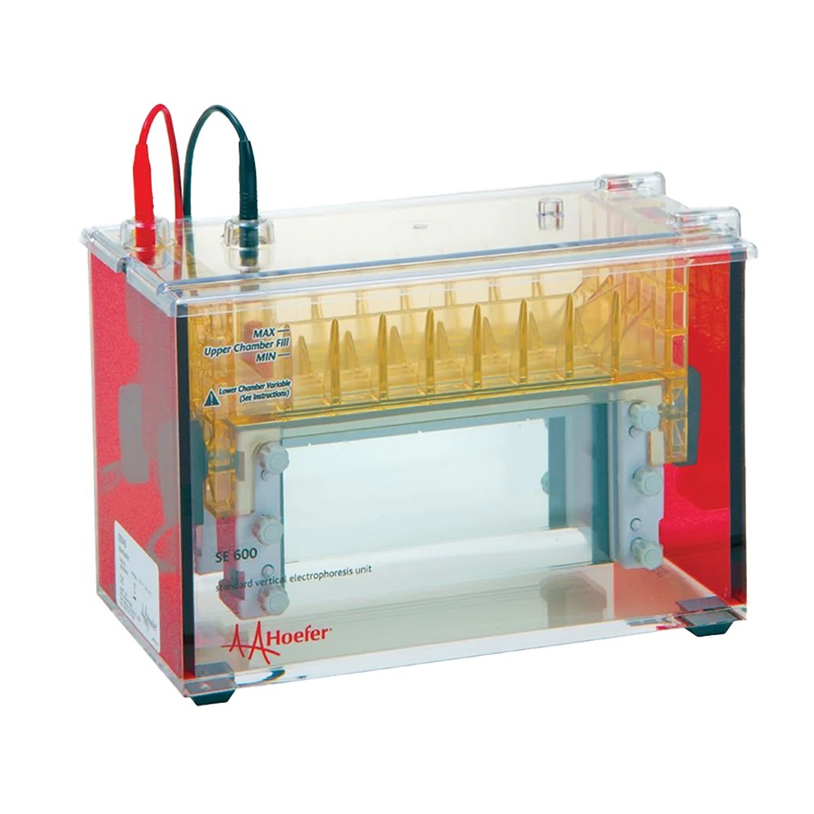 Wide-Mini Electrophoresis