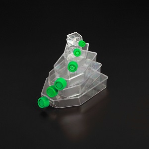 Cell Culture Flasks