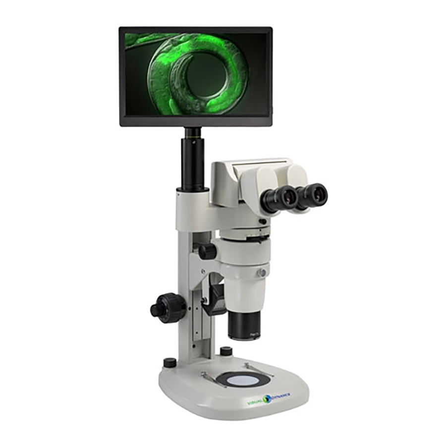 Stereo Microscope