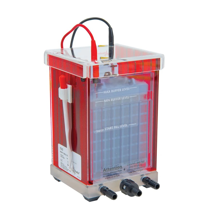 Mighty Small Transfer Tan