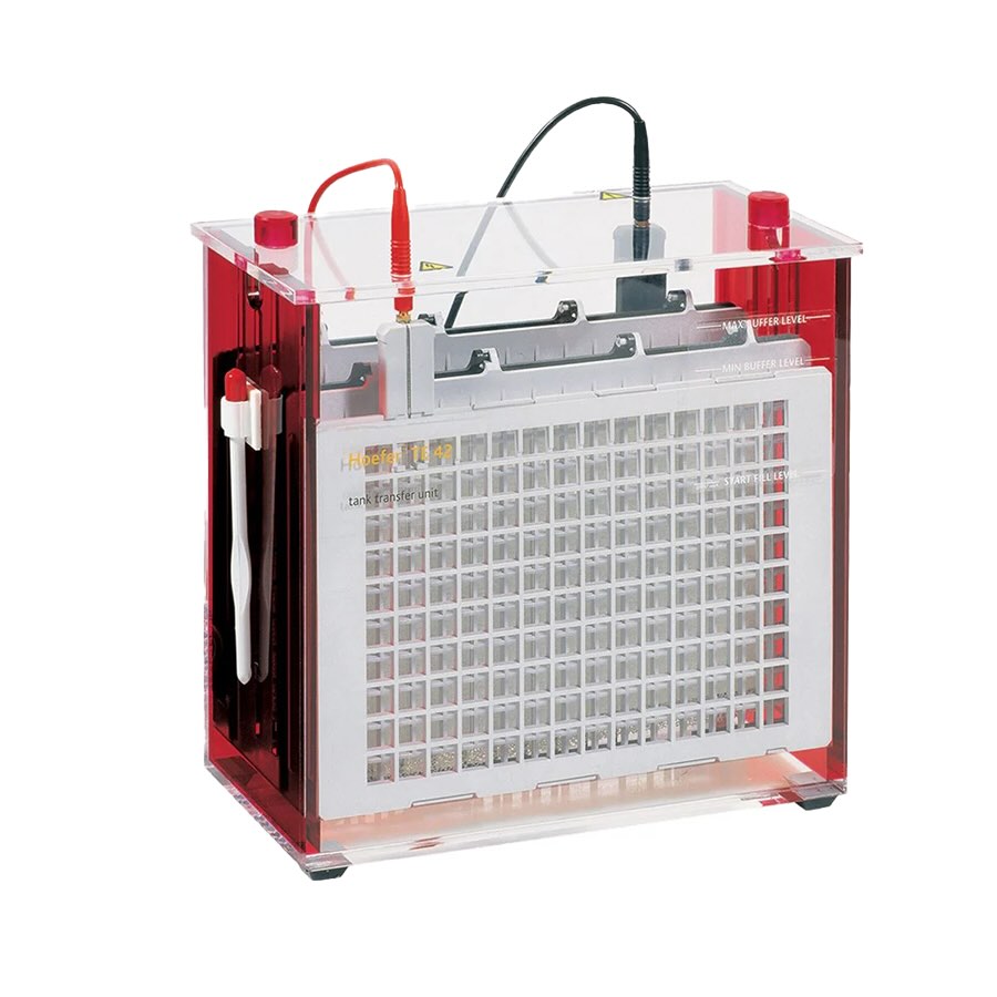 Standard Transfer Tank