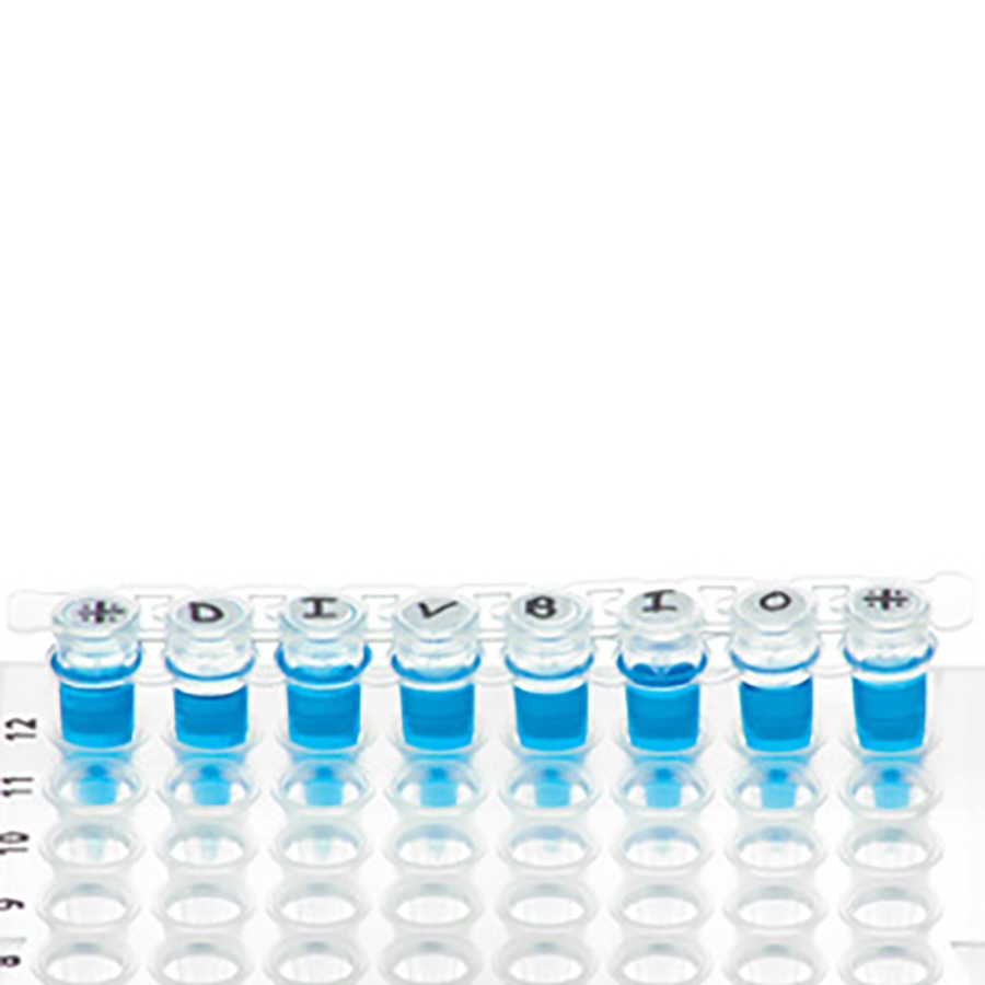 Tough-Spots On A Roll