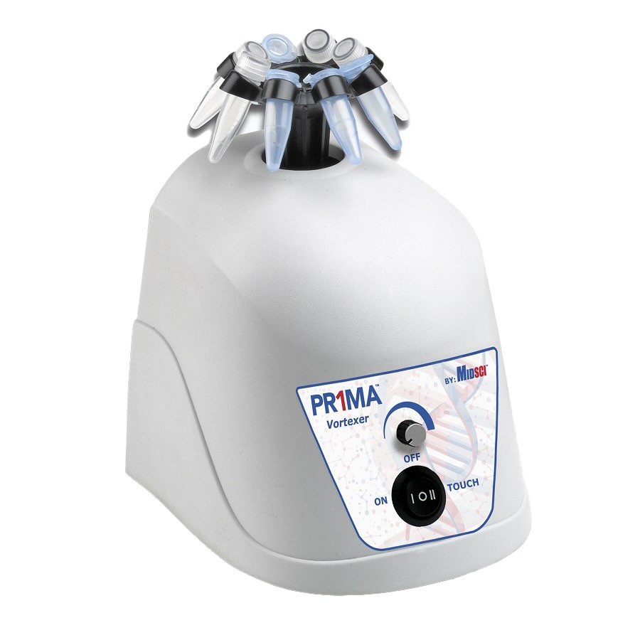 Mixer with Multi-Head