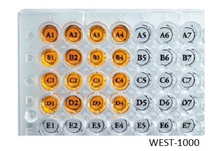 Well Orienter Stickers