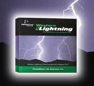 WESTERN LIGHLGING PLUS EC