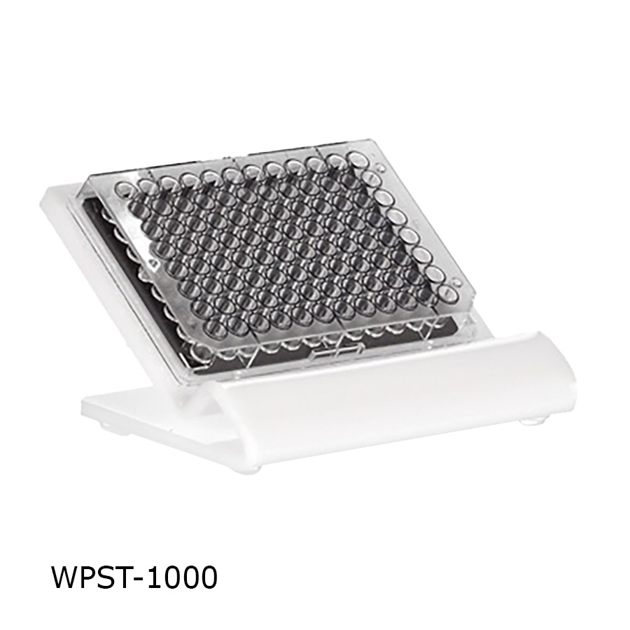 Well Plate Stand