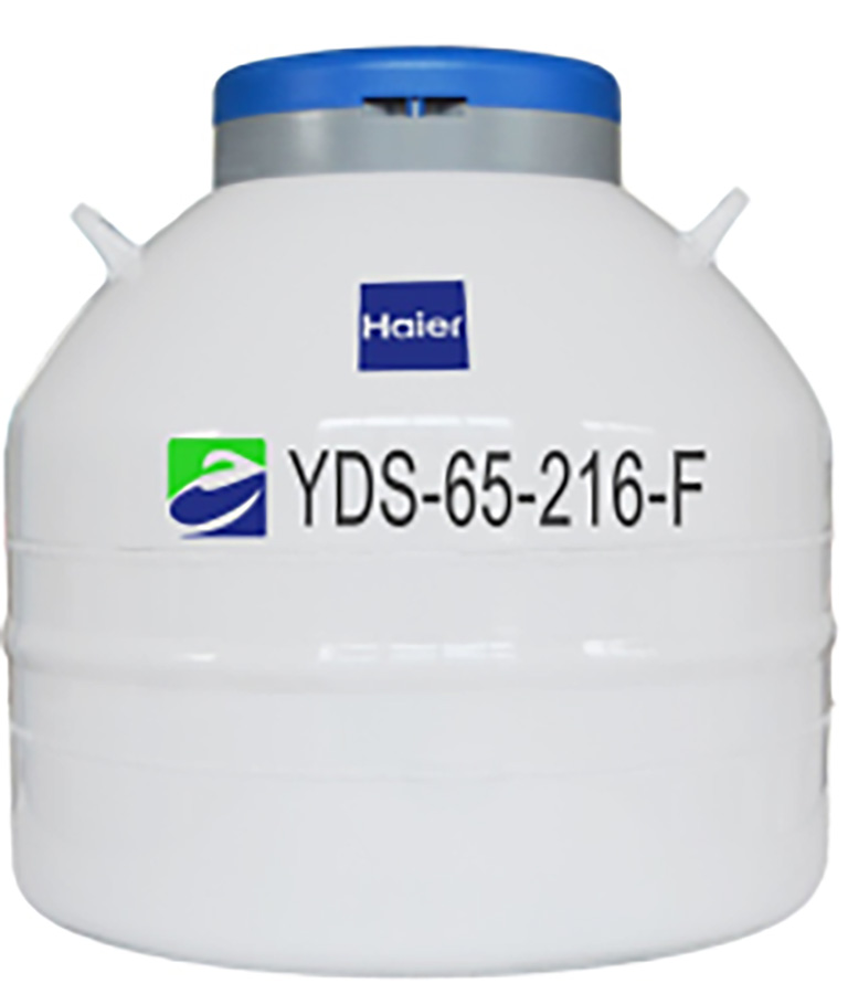 Haier YDS-65-216-F