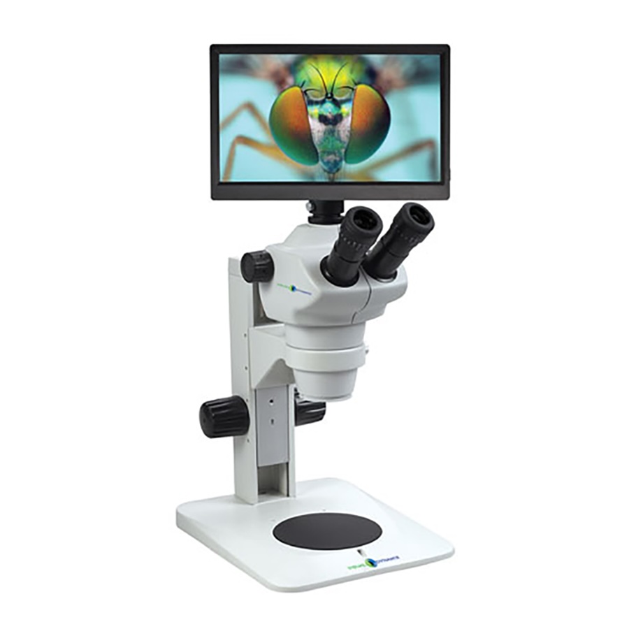 Stereo Microscope