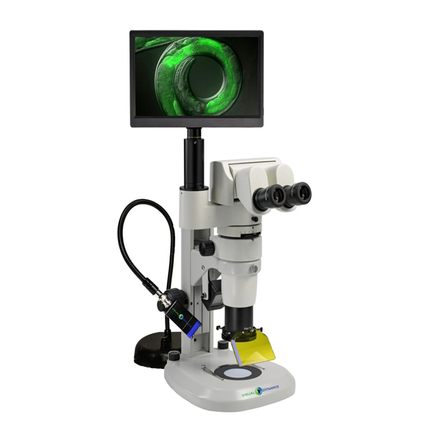 Stereo Microscope