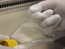 TPP - Peel Off Flask