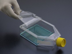 TPP - Peel Off Flask